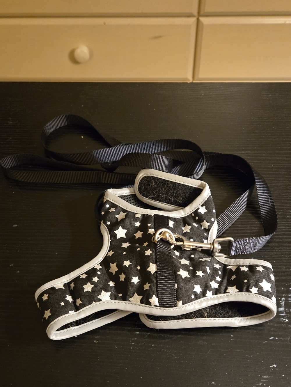 Black Star Pattern CAT Harness with Leash